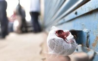 जालंधर में चली नगर निगम की कारवाई मशहूर पबों को किया सील