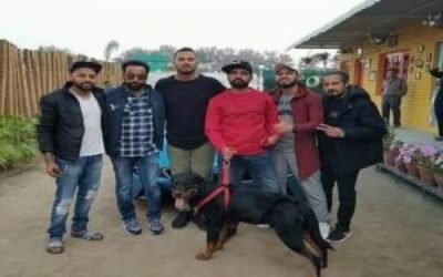 मशूहर पंजाबी सिंगर का दोस्त नहर किनारे नशे में मिला बेसुध