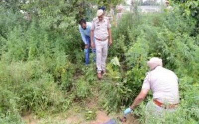 जालंधर के गांव जंडियाला मे युवक का बेरहमी से कत्ल, नहर किनारे मिली लाश