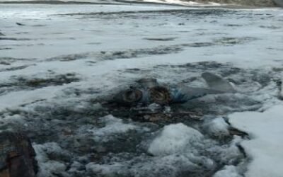 50 साल पहले दुर्घटनाग्रस्त लड़ाकू विमान का मिला मलबा