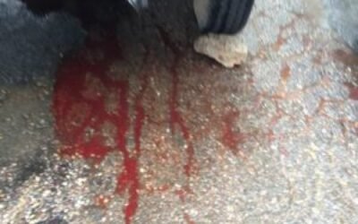 ट्रक की चपेट मे आए नौज़वान की अस्पताल में मौत