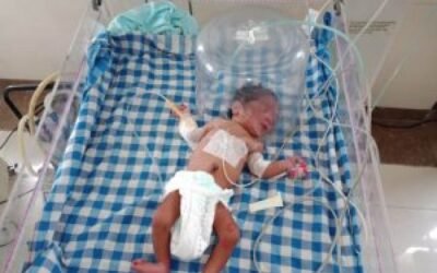 कलयुगी मां ने दो दिन की नवज़ात को झाड़ियों में फेंका