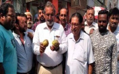 कश्मीर से आए सेबों पर लिखे भारत विरोधी नारे