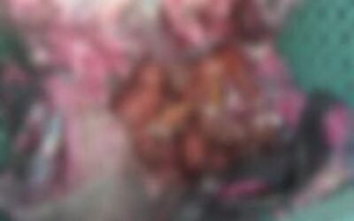 दो दिन दहशत में रहने के बाद अब शर्मसार हुआ जालंधर