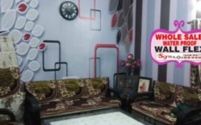 एसजीएम फलैक्स दिलाएगा आपकी दीवारों को नया लुक