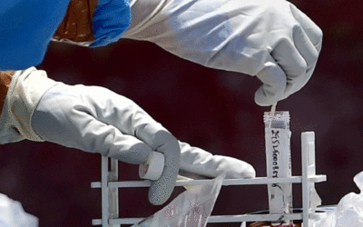 पंजाब में रविवार को घातक हुआ कोरोना, एक ही दिन में हुई इतनी मौतें, आए इतने मामले