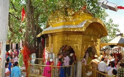 नवरात्र मेले में प्रसाद, नारियल, झंडा व निजी लंगर लगाने पर रोक