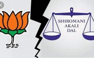 अकाली भाज़पा का टूटा गठज़ोड़ फगवाड़ा की सियासत में कर सकता है धमाका