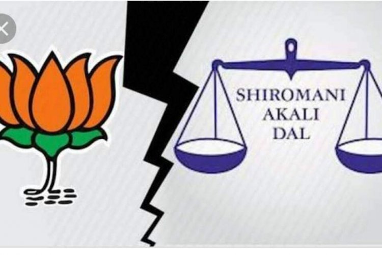 अकाली भाज़पा का टूटा गठज़ोड़ फगवाड़ा की सियासत में कर सकता है धमाका