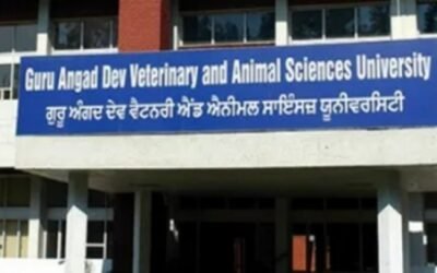 जालंधर में अनोखी Zero FIR , कुत्ते की मौत के बाद डाक्टर सहित पांच लोगों पर मामला दर्ज