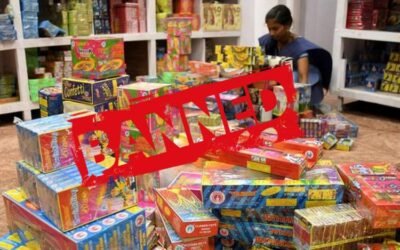 Festival सीज़न पर सरकार को सताने लगा प्रदूषण का खतरा , किया यह फैसला