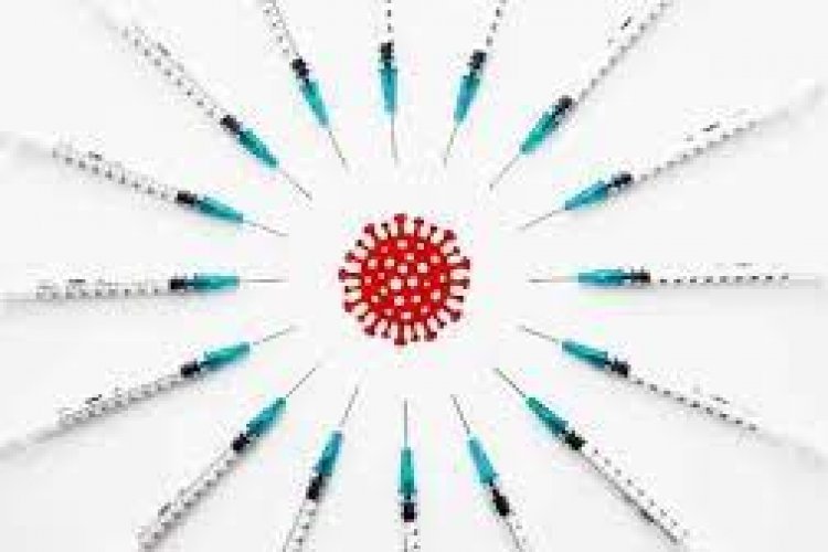 नए वर्ष के पहले ही दिन पंजाब में कोरोना का बड़ा धमाका