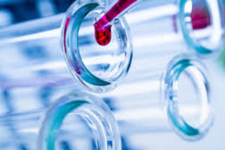 पंजाब में जहाज़ भर कर आए कोरोना पाज़िटिव, एयरपोर्ट पर मचा हड़कंप