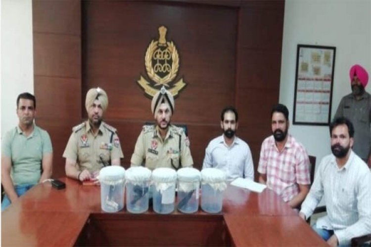 पंजाब पुलिस की एंटी गैंगस्टर टीम का एक्शन, नामी गैंगस्टर के तीन साथी गिरफ्तार