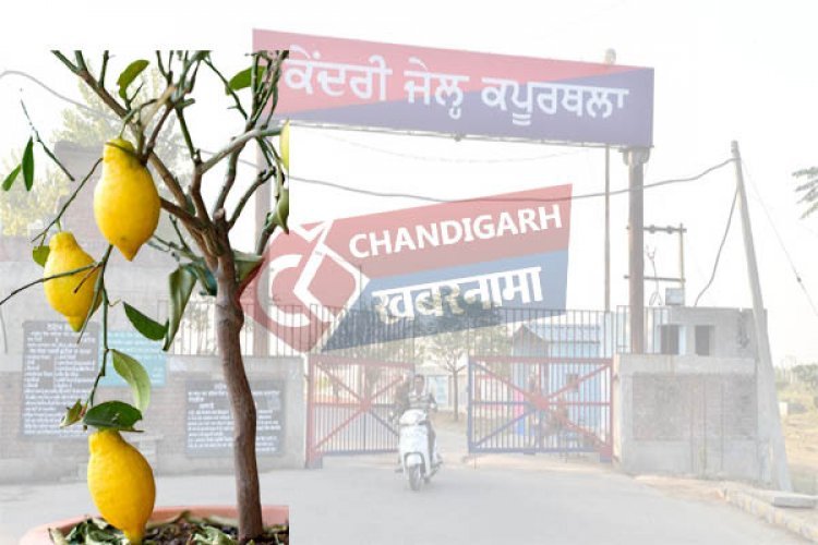 ज़ेल की कड़ी सुरक्षा में से गायब हो गए 50 किलो नींबू, ज़ेलर साहिब हुए सस्पैंड