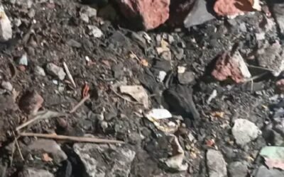 पंजाब में बेअदबी की बड़ी वारदात, श्री हनुमान चालीसा को शरारती तत्वों ने लगाई आग