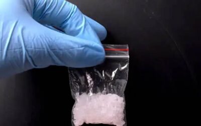 पंजाब के इस जिले की STF टीम की बडी कामयाबी, हैरोईन से भी खतरनाक नशे की खेप पकड़ी