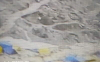 Big Breaking : श्री अमरनाथ गुफा के पास फटा बादल, पांच लोगों के मरने की सूचना