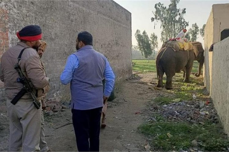 अगर महावत आपके ईलाके में भी लाते है हाथी, तो जरूर पढ़े यह खबर