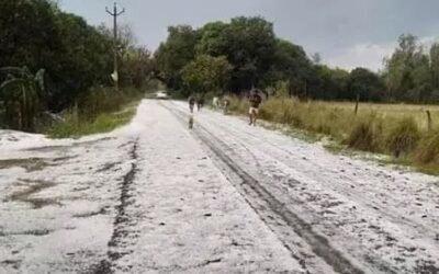 31 जनवरी को घर से निकलने से पहले पढ़ लें यह खबर, ज़ारी हुआ यह अर्लट