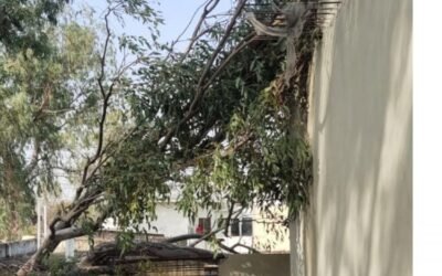 गोराया में आफत बनी बारिष, कई जगह गिरे पे़ड़़, कई घंटे बत्ती गुल, इंटरनेट सेवा बंद