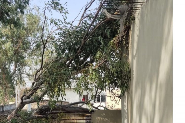 गोराया में आफत बनी बारिष, कई जगह गिरे पे़ड़़, कई घंटे बत्ती गुल, इंटरनेट सेवा बंद