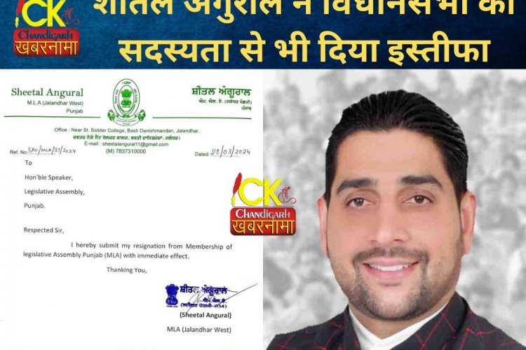शीतल अंगुराल ने लिया एक और फैसला, विधानसभा की सदस्यता से दिया इस्तीफा