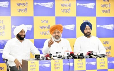 पंजाब के मुख्यमंत्री की अध्यक्षता में है दलित छात्रों के अधिकार सुरक्षित : हरपाल चीमा