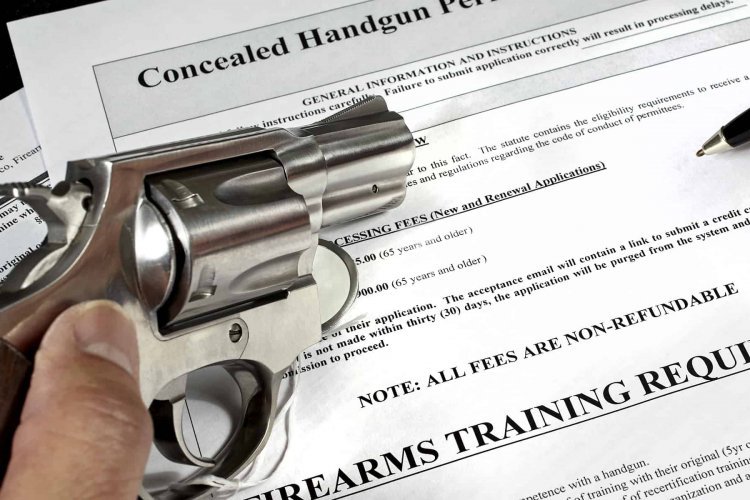 License हथियार वालों पर पंजाब पुलिस का बड़ा एक्शन