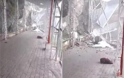 माँ वैष्णो देवी दरबार के रास्ते में बड़ा हादसा …..