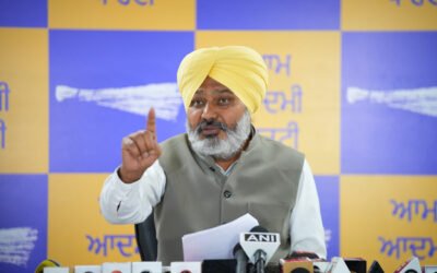 कैप्टन के मंडी दौरे पर पंजाब के मंत्री हरपाल चीमा का पलटवार