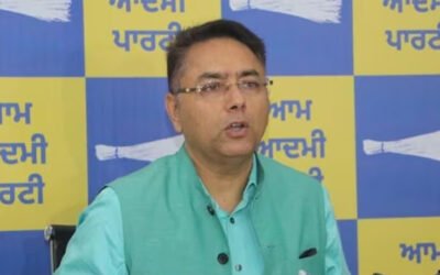 Aman Arora के हाथ आई आम आदमी पार्टी पंजाब की कमान
