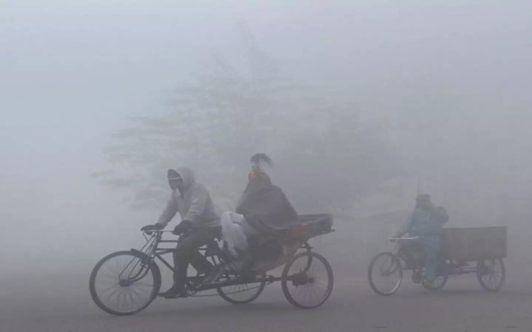 IMD की चेतावनी: 2 से 5 जनवरी तक कई जिलों में कोल्ड डे जैसी स्थिति के आसार