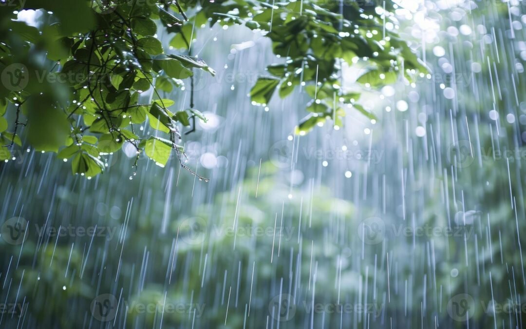 पंजाब में ज़ारी हुआ बारिष का अर्लट, बढ़ेगा ठंड का प्रकोप