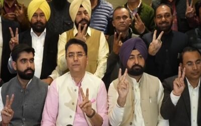 पंजाब के इस शहर में भी आप का परचम, बनाया अपना मेयर