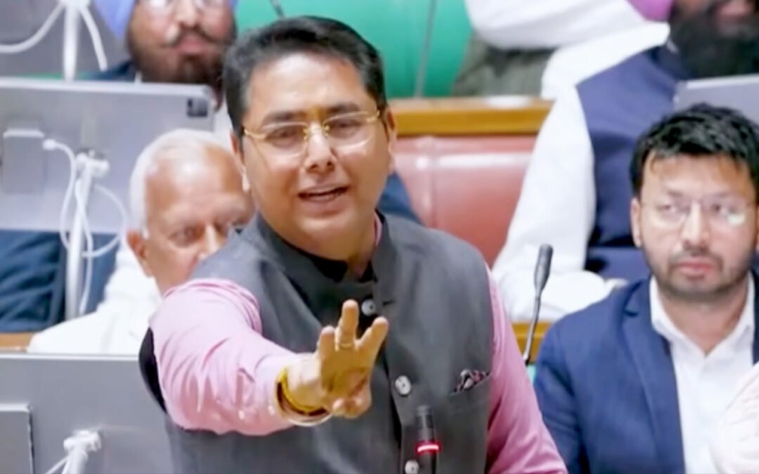 आप पंजाब अध्यक्ष अमन अरोड़ा ने प्रताप बाजवा को कहा भाजपा का वफादार