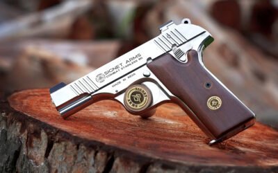 हथियारों की नुमाईश करने वाले सावधान ! एक्शन में है पंजाब पुलिस