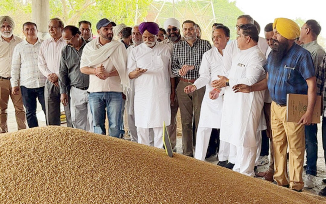 जोगिन्द्र सिंह मान ने फगवाड़ा की अनाज मंडी में शुरु करवाई गेहूं की खरीद