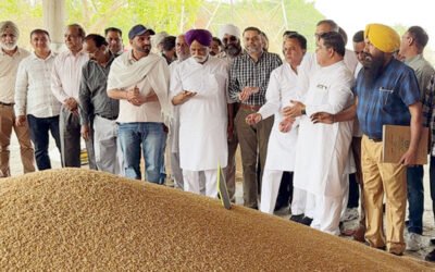 जोगिन्द्र सिंह मान ने फगवाड़ा की अनाज मंडी में शुरु करवाई गेहूं की खरीद