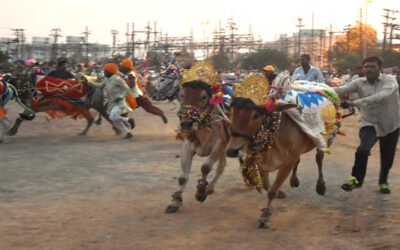 पंजाब की इस पुरातन खेल पर लगा बैन हटाया, विधानसभा में मंजूरी
