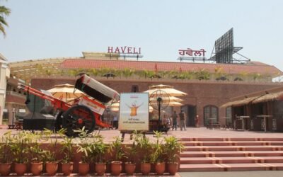 दिल्ली हाईकोर्ट का सख्त आदेश: ‘HAVELI’ ब्रांड के लोगो की नकल करने वाली कंपनी को फौरन विज्ञापन हटाने के निर्देश