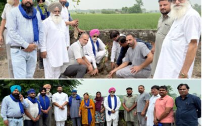 फगवाड़ा में आप नेता हरजी मान का पर्यावरणीय अभियान, 35 हजार पौधे लगाने का संकल्प