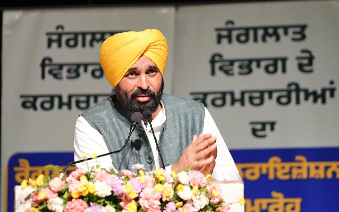 पंजाब के गांवों में 19 हजार KM नई सड़कें, CM भगवंत मान बोले – 20-25 दिन में शुरू होगा काम