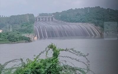 हिमाचल में पौंग डैम से पानी छोड़ा गया, पंजाब के गांवों में बाढ़ का खतरा