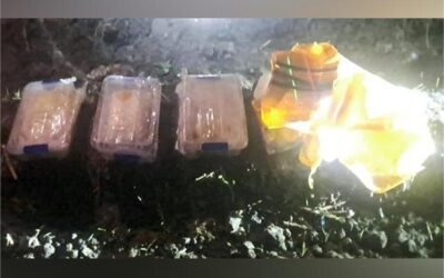 पंजाब पुलिस और BSF की बड़ी कार्रवाई: 3 किलो ICE बरामद