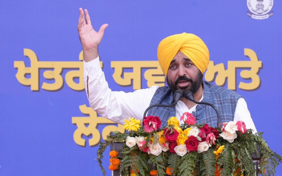 जिला परिषद–ब्लॉक समिति चुनाव में जीत के बाद बोले सीएम मान, बैलेट ओवरप्रिंटिंग के आरोप बेबुनियाद