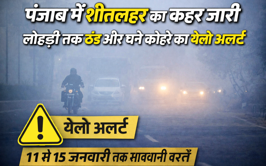 पंजाब में शीतलहर का कहर जारी, लोहड़ी तक ठंड और घने कोहरे का येलो अलर्ट