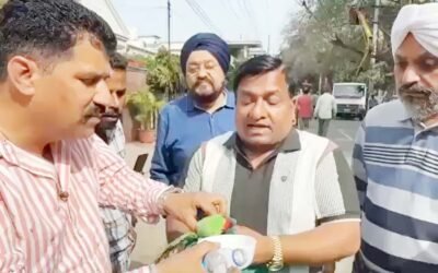 जालंधर: जान जोखिम में डालकर राजीव दुग्गल ने बचाई तोते की जान, इंसानियत की अनोखी मिसाल