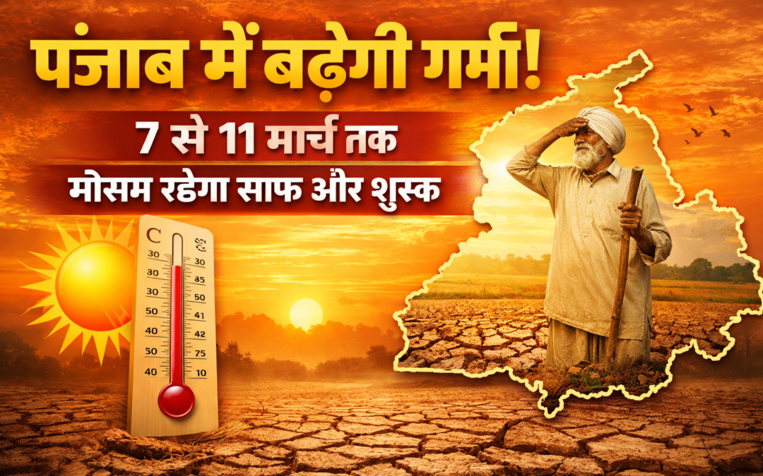 पंजाब में बढ़ेगा गर्मी का असर, 7 से 11 मार्च तक मौसम रहेगा साफ : मौसम विभाग