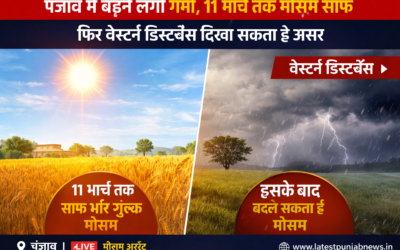 पंजाब में बढ़ने लगी गर्मी, 11 मार्च तक मौसम साफ; फिर वेस्टर्न डिस्टर्बेंस दिखा सकता है असर